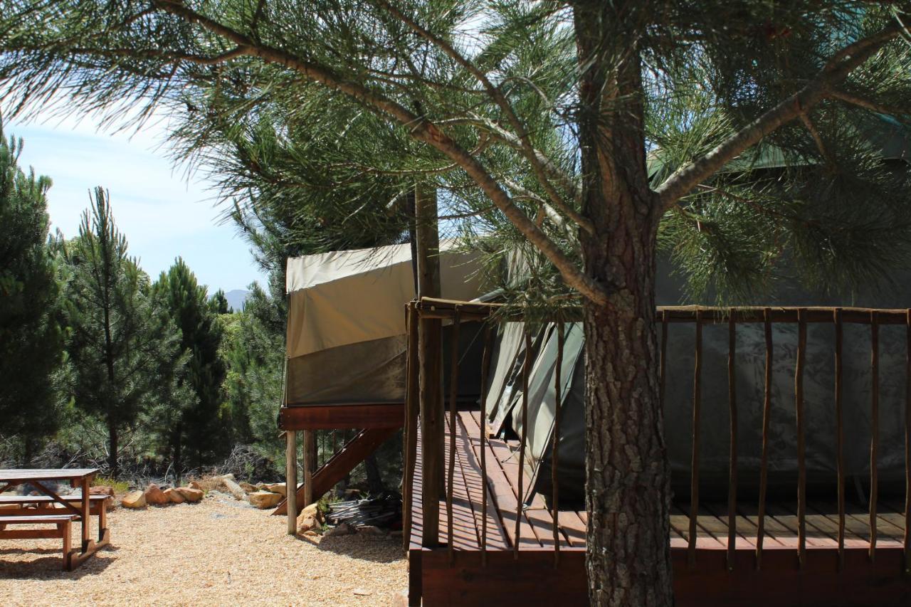 Otium Oasis Glamping & Camping Hartebeesrivier Exterior photo