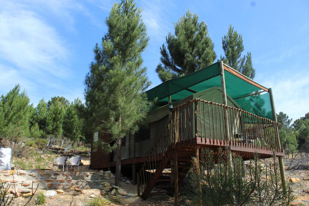 Otium Oasis Glamping & Camping Hartebeesrivier Exterior photo
