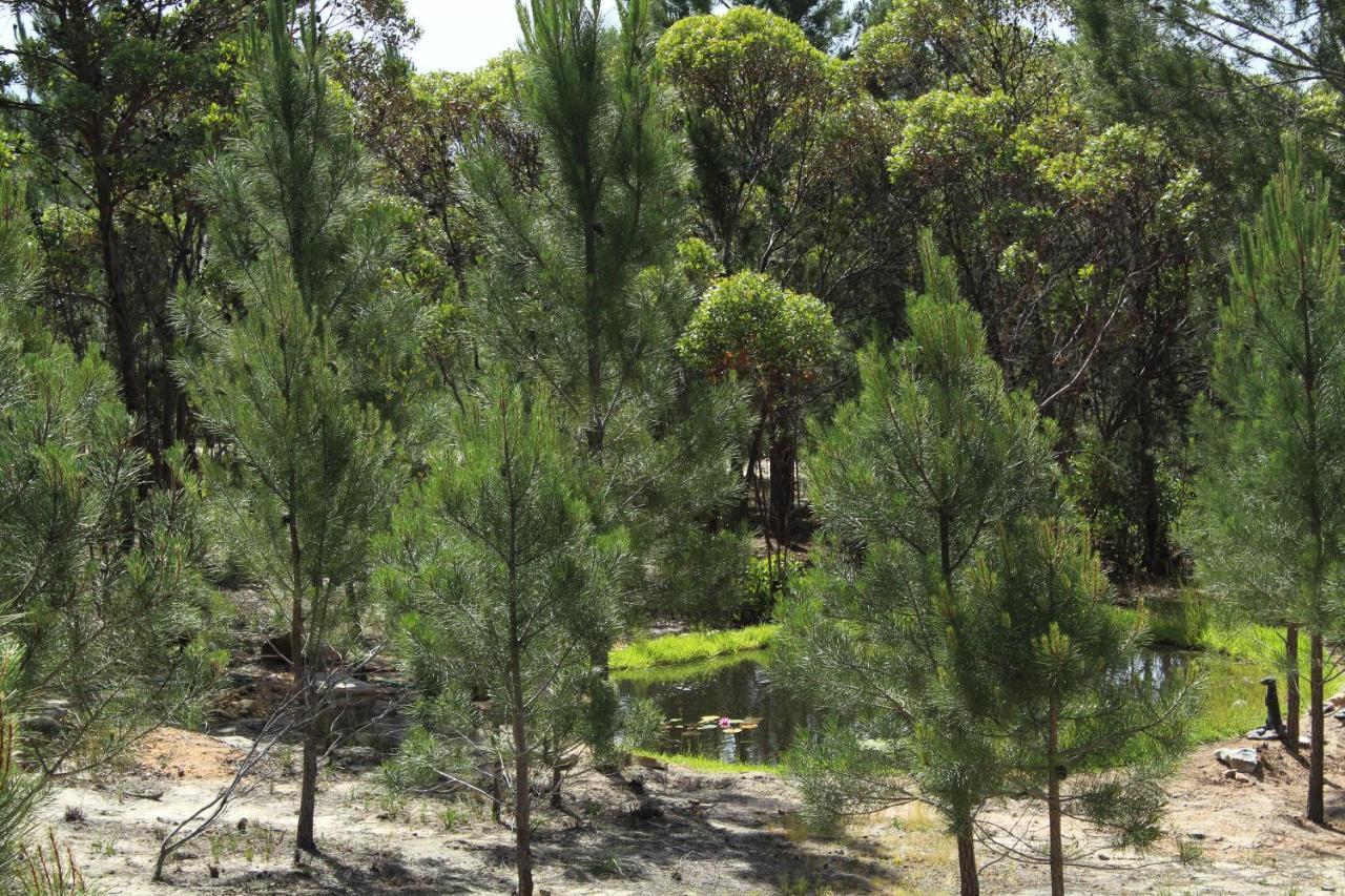 Otium Oasis Glamping & Camping Hartebeesrivier Exterior photo