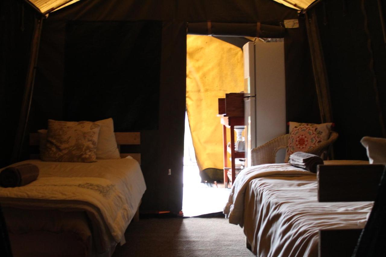 Otium Oasis Glamping & Camping Hartebeesrivier Exterior photo