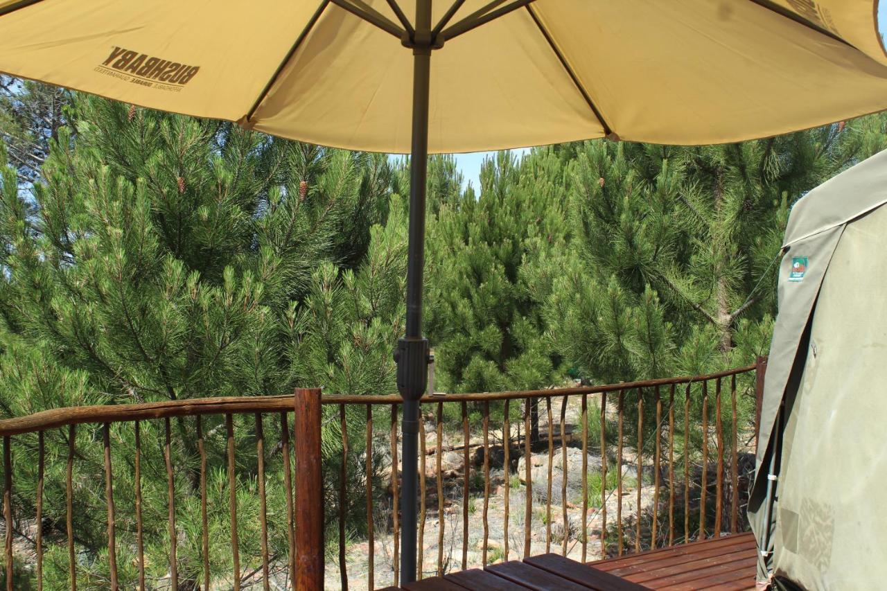 Otium Oasis Glamping & Camping Hartebeesrivier Exterior photo