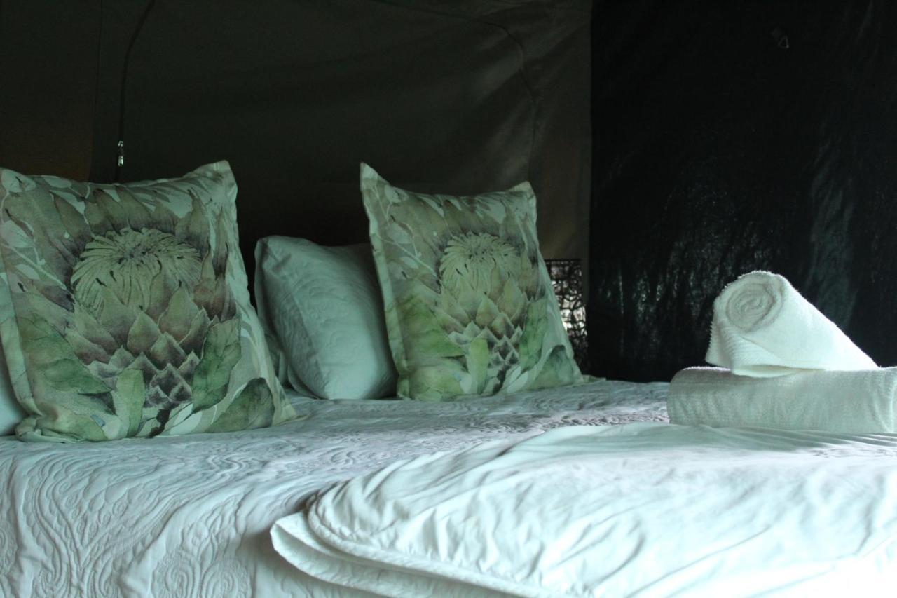Otium Oasis Glamping & Camping Hartebeesrivier Exterior photo