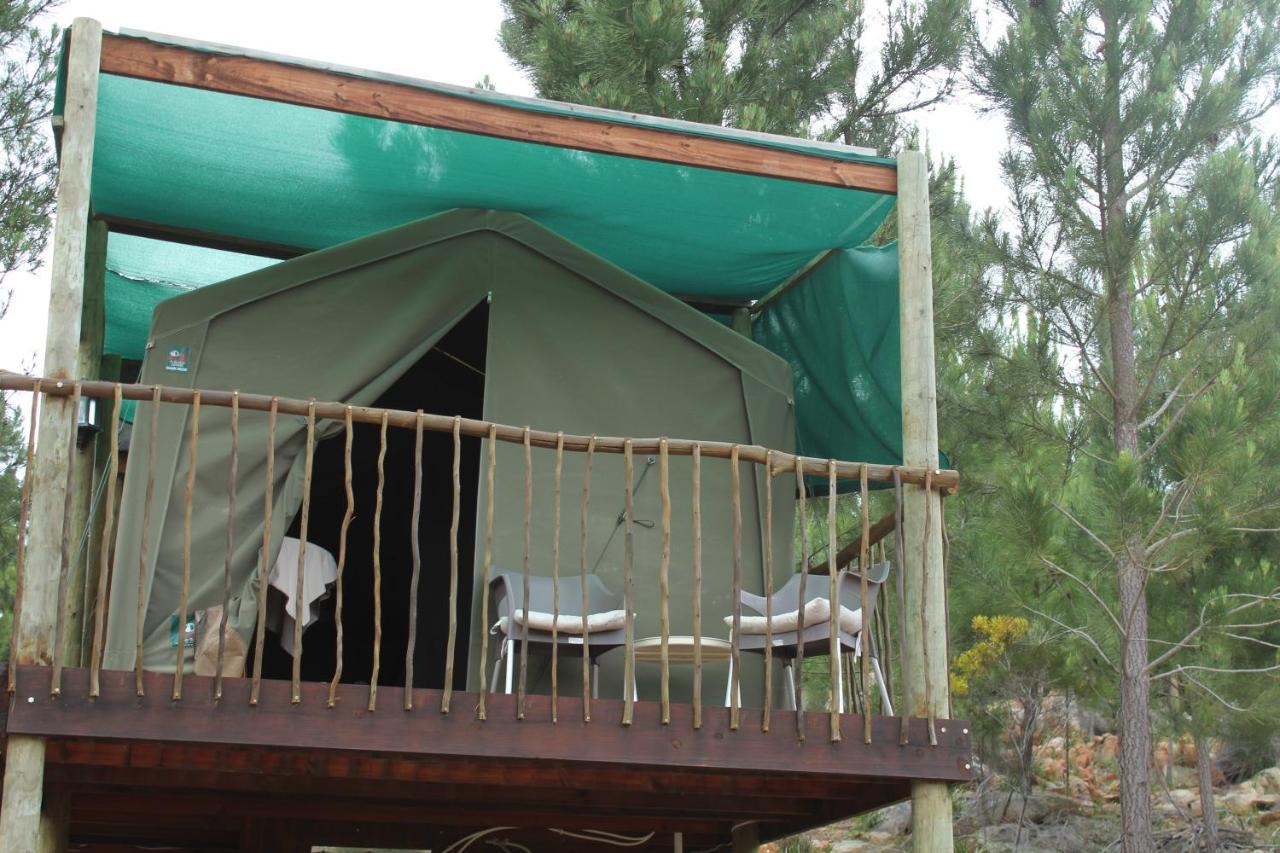 Otium Oasis Glamping & Camping Hartebeesrivier Exterior photo