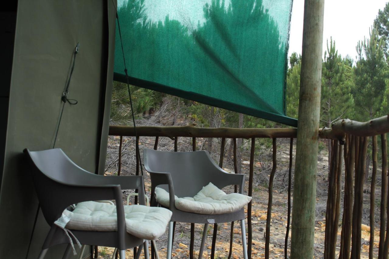 Otium Oasis Glamping & Camping Hartebeesrivier Exterior photo