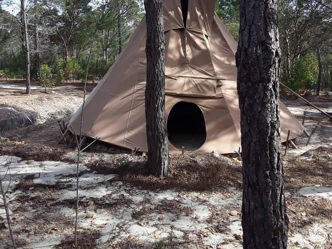 Otium Oasis Glamping & Camping Hartebeesrivier Exterior photo