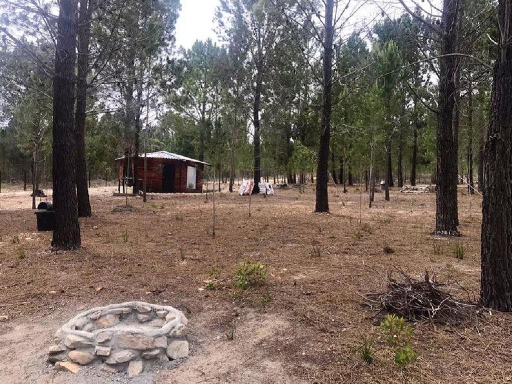 Otium Oasis Glamping & Camping Hartebeesrivier Exterior photo