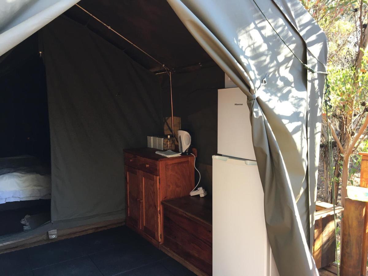 Otium Oasis Glamping & Camping Hartebeesrivier Exterior photo