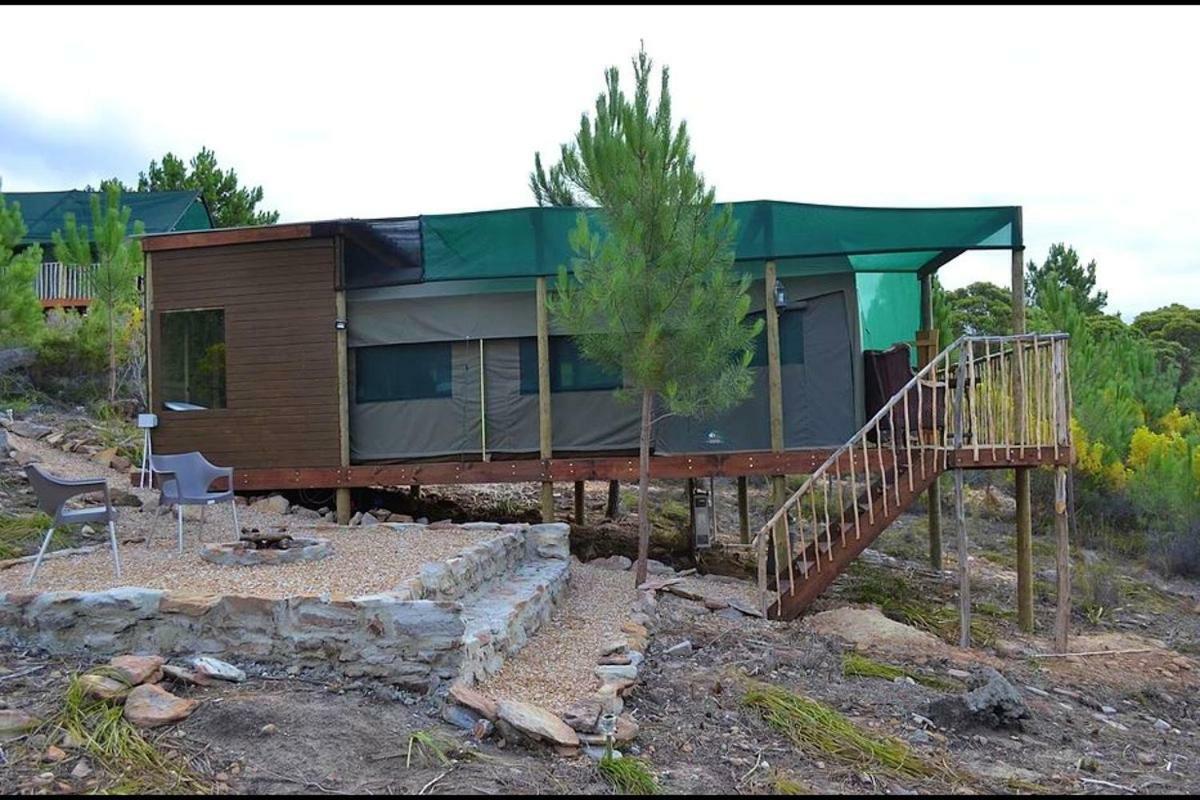 Otium Oasis Glamping & Camping Hartebeesrivier Exterior photo