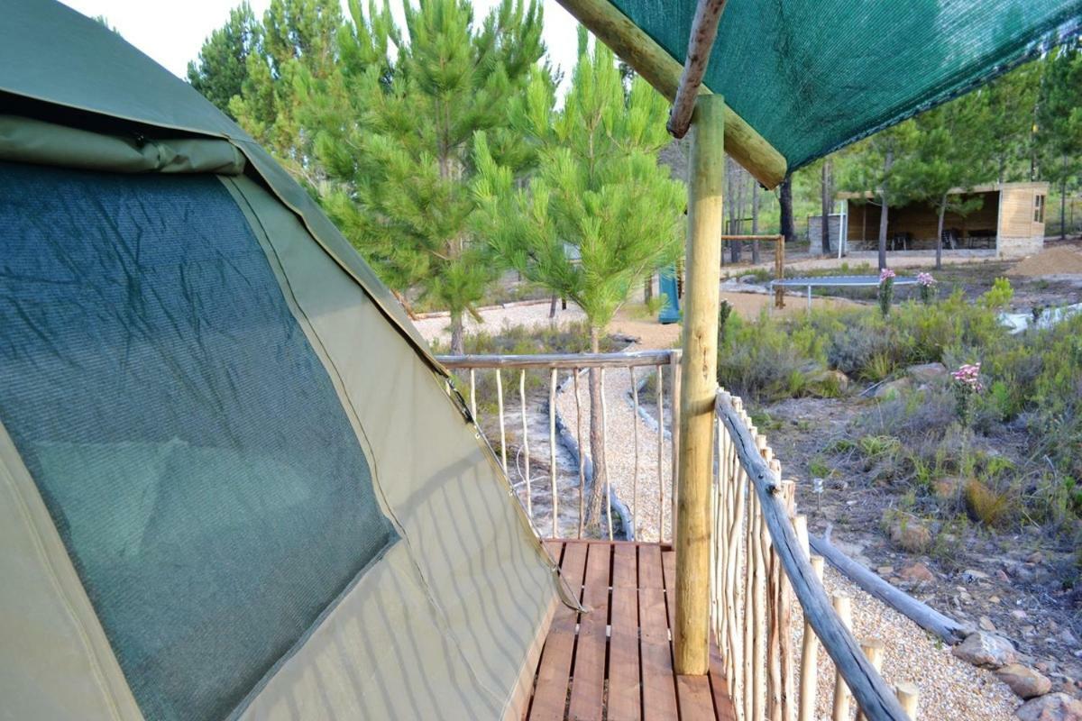 Otium Oasis Glamping & Camping Hartebeesrivier Exterior photo
