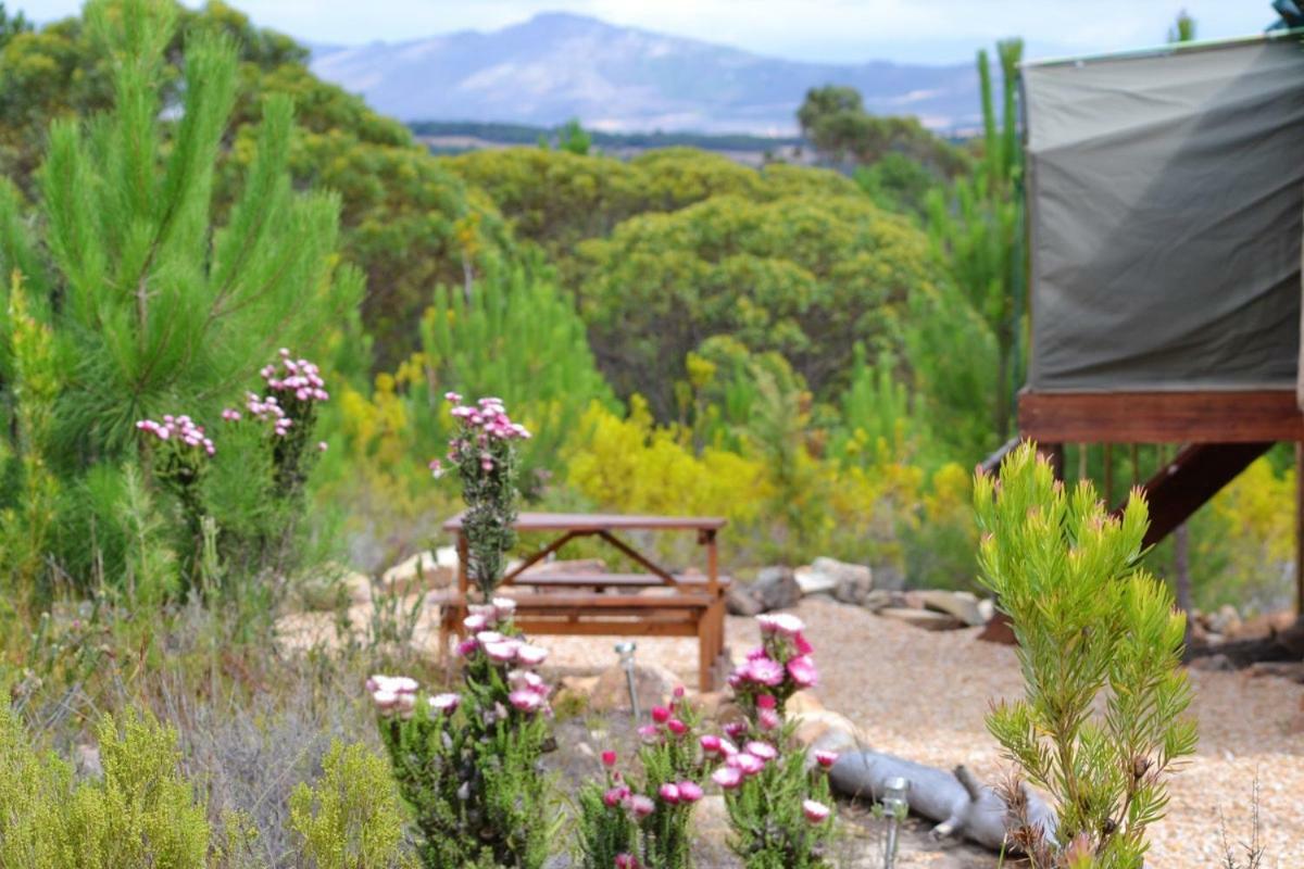 Otium Oasis Glamping & Camping Hartebeesrivier Exterior photo
