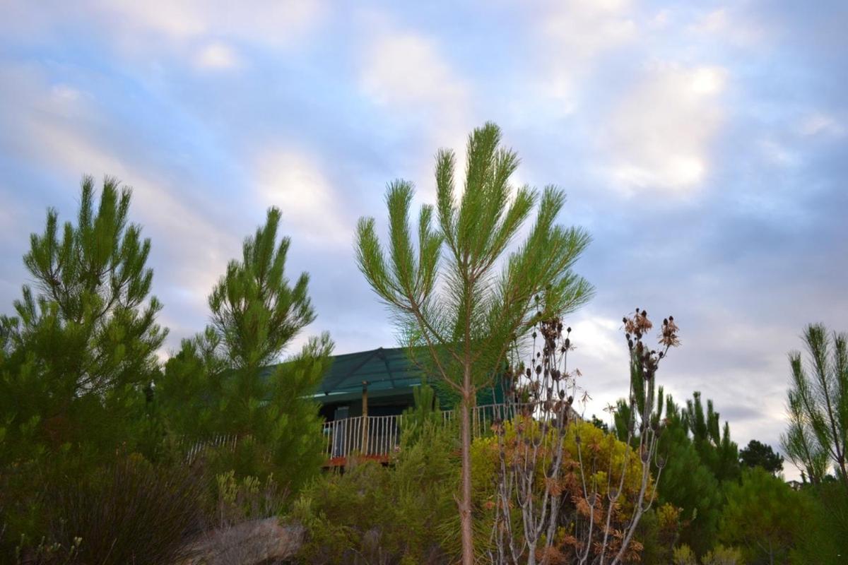 Otium Oasis Glamping & Camping Hartebeesrivier Exterior photo